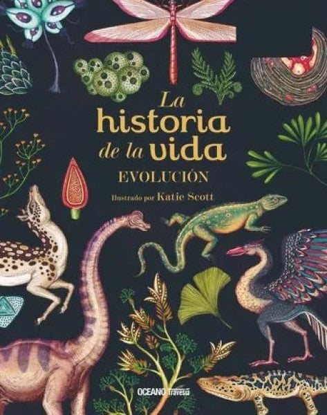 LA HISTORIA DE LA VIDA EVOLUCIÓN