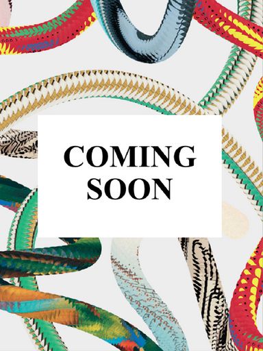 THE ULTIMATE SNEAKER BOOK