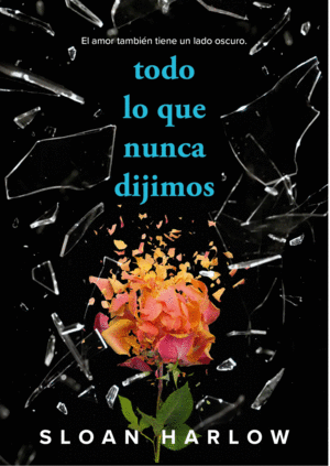 TODO LO QUE NUNCA DIJIMOS