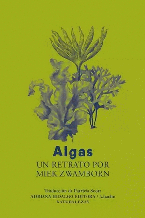 ALGAS UN RETRATO POR MIEK ZWAMBORN