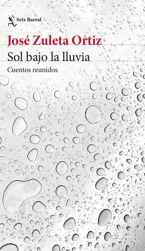 SOL BAJO LA LLUVIA