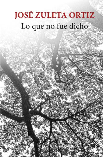LO QUE NO FUE DICHO