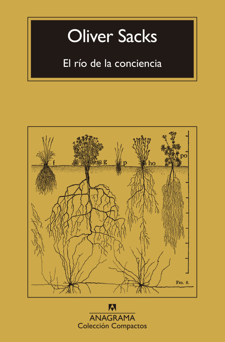 EL RIO DE LA CONCIENCIA