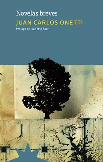 NOVELAS BREVES