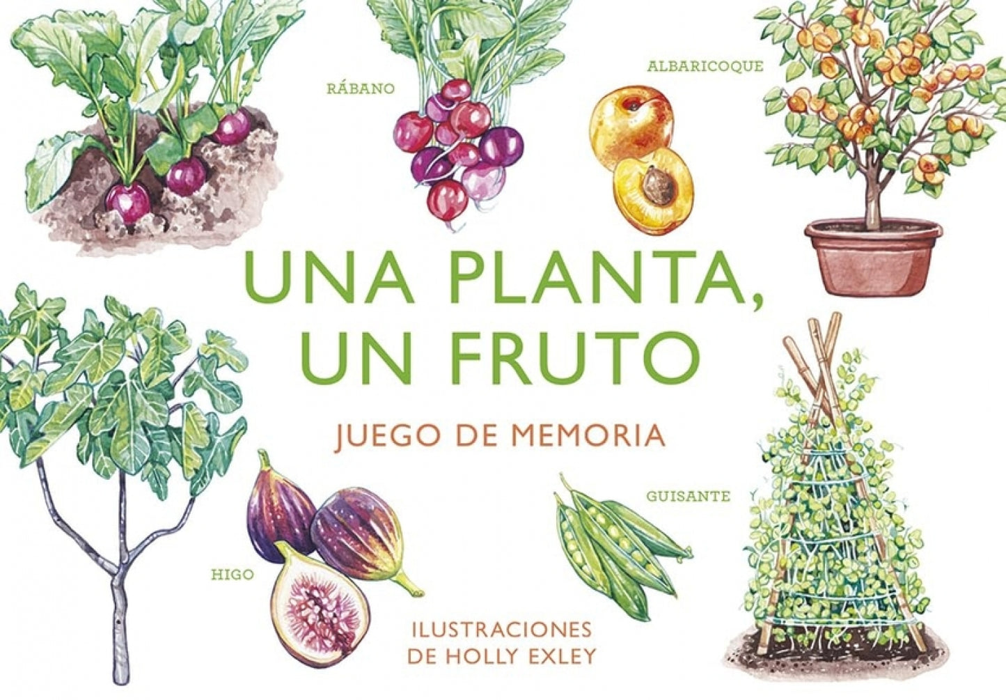 UNA PLANTA, UN FRUTO | Juego de memoria