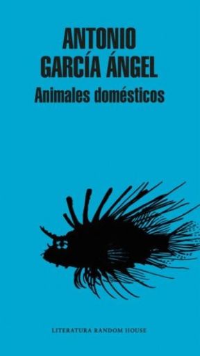 ANIMALES DOMESTICOS