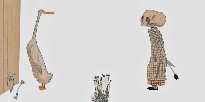 Libros con “dibujitos” NO son solo para niños