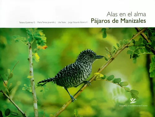 Alas en el alma. Pájaros de Manizales