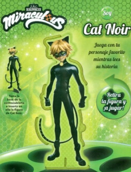 Soy Cat Noir
