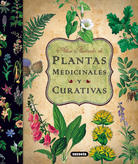 Plantas medicinales y curativas