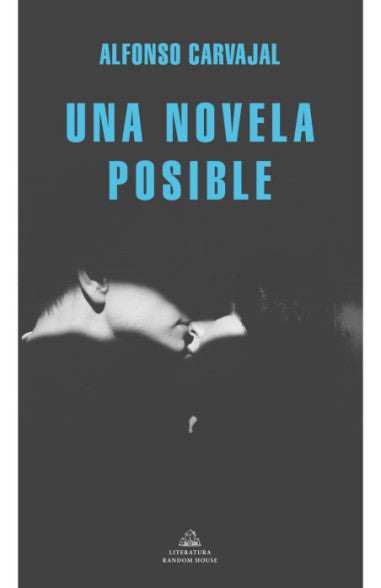 Una novela posible