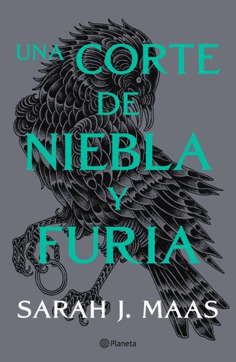 UNA CORTE DE NIEBA Y FURIA