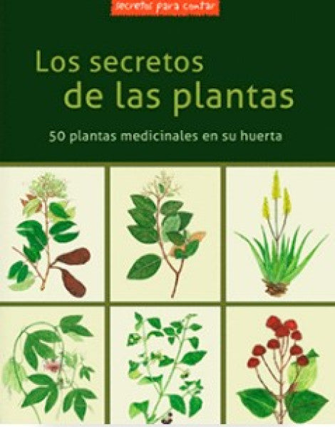 Los secretos de las plantas