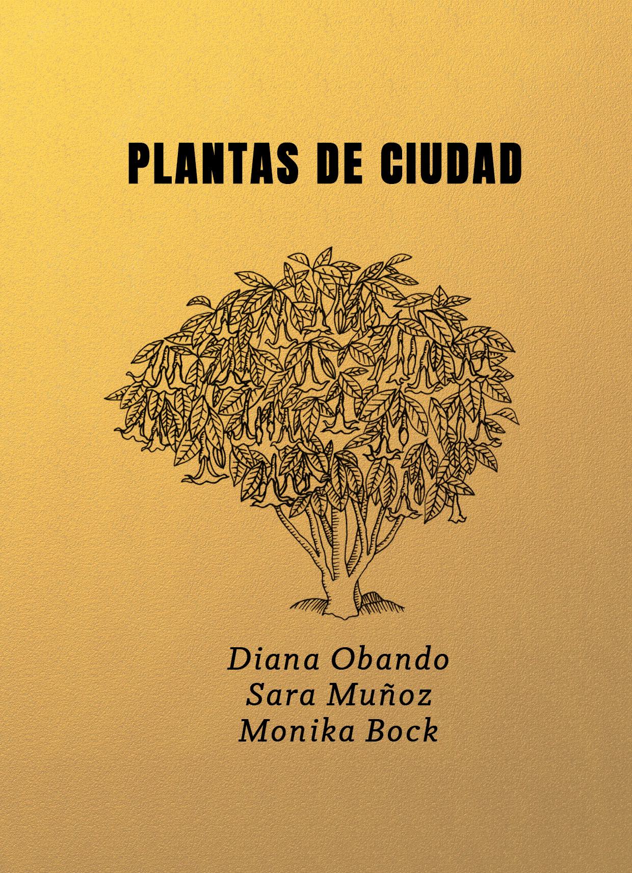 PLANTAS DE CIUDAD