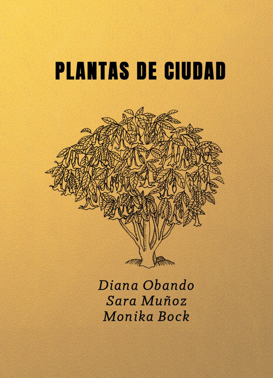 PLANTAS DE CIUDAD