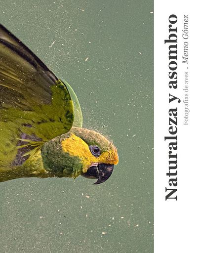 Naturaleza y asombro