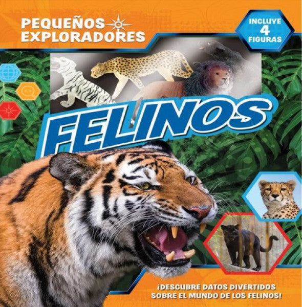 Pequeños exploradores - Felinos