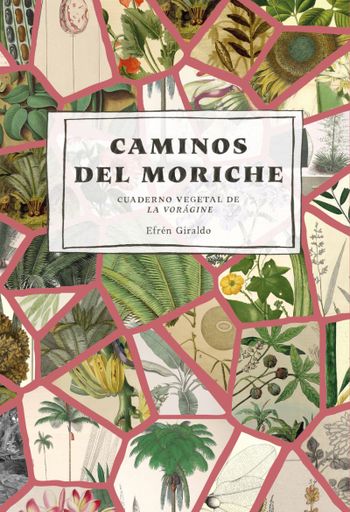 CAMINOS DEL MORICHE CUADERNO VEGETAL DE LA VORAGINE