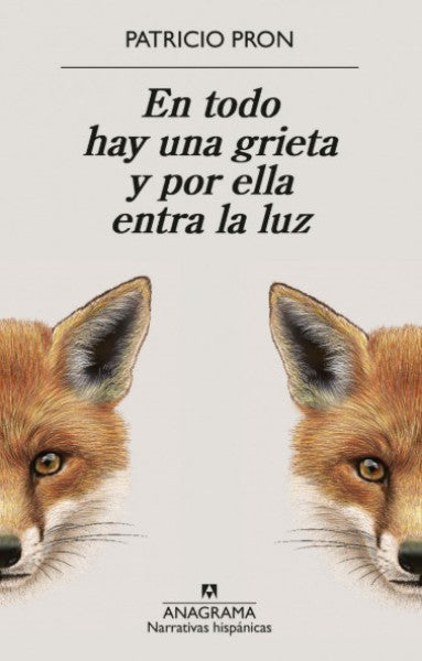 EN TODO HAY UNA GRIETA Y ELLA ENTRA LA LUZ