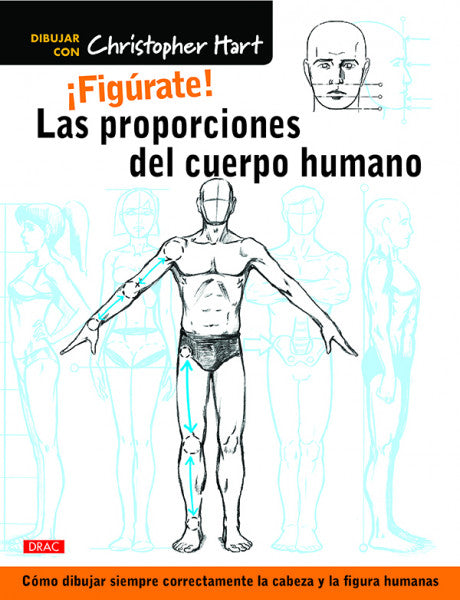 ¡Figúrate! Las proporciones del cuerpo humano