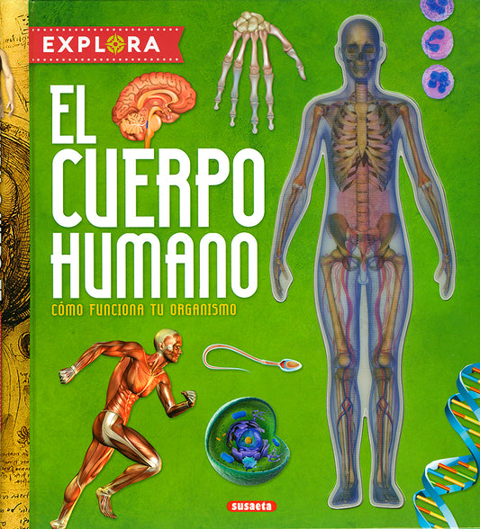 El cuerpo humano. Cómo funciona tu organismo