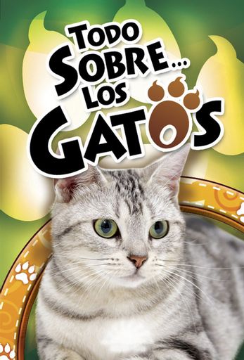 TODO SOBRE LOS GATOS