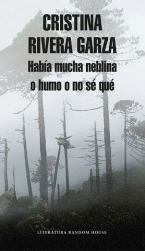 Había mucha neblina o humo o no sé qué