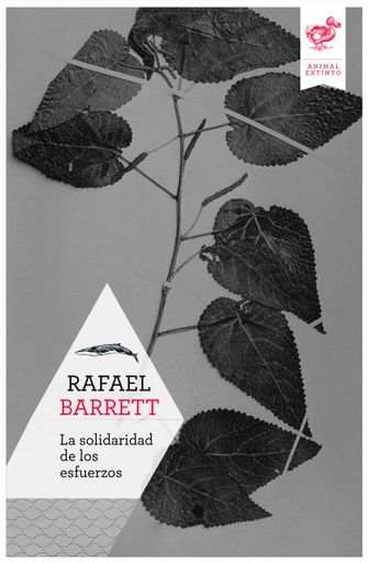 La solidaridad de los esfuerzos