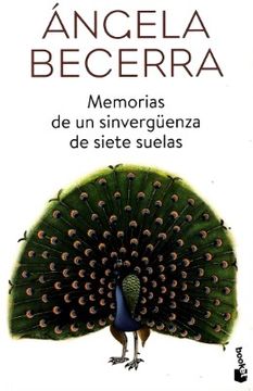 Memorias de un sinvergüenzas de siete suelas