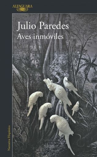 Aves inmóviles