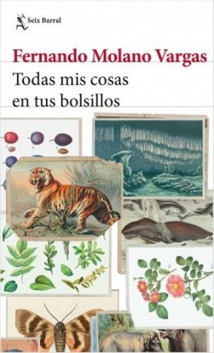 Todas mis cosas en tus bolsillos