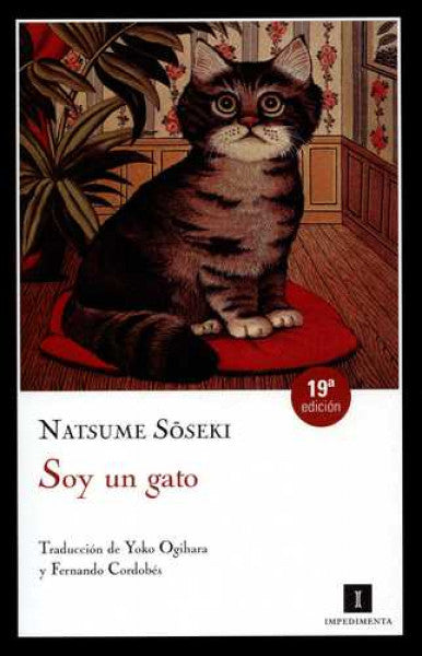 Soy un gato