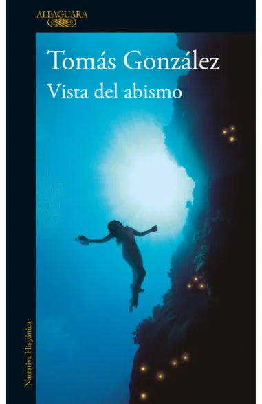 VISTA DEL ABISMO| Tomás González
