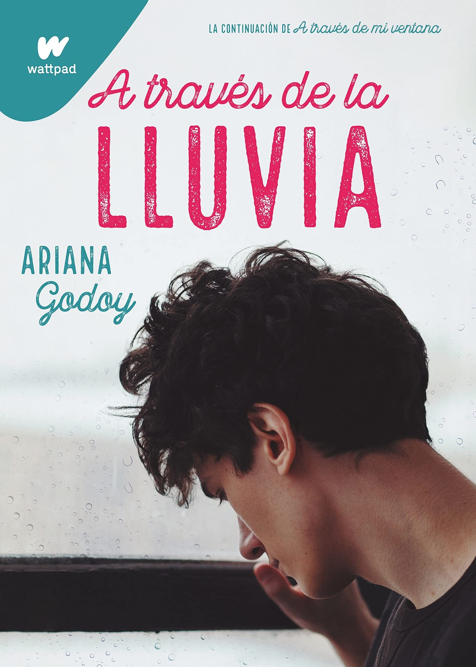 A Traves De La Lluvia | Ariana Godoy