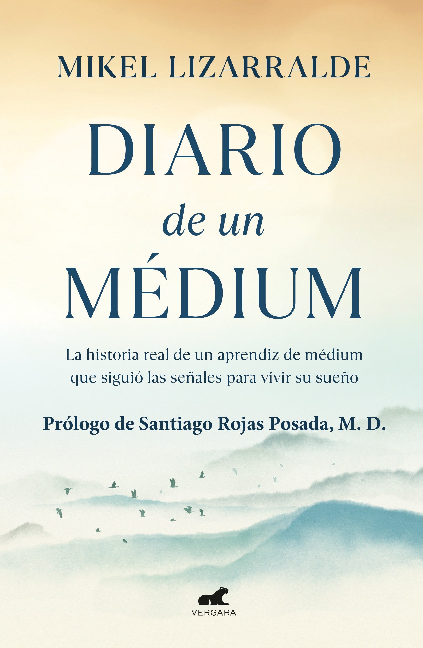 Diario De Un Medium | Lizarralde, Mikel